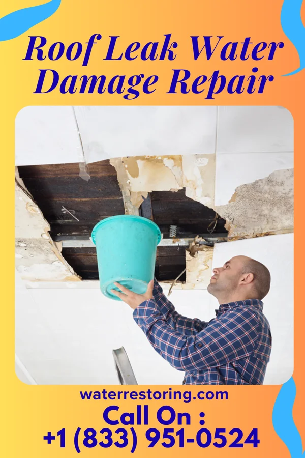 Roof Leak Water Damage Repair in Neihart, MT